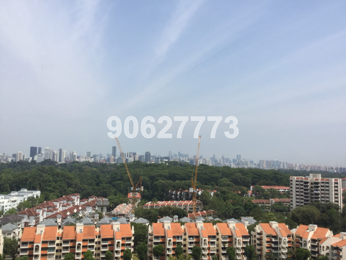 D'Leedon (D10), Condominium #43549952